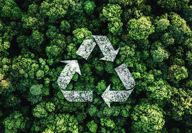 Challenges of REACH Compliance